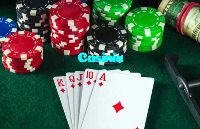 Casinia